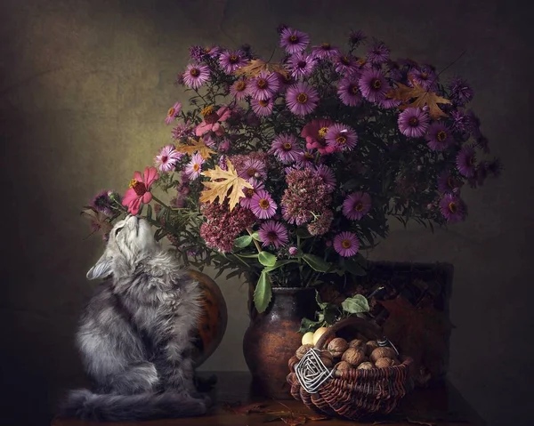 Nature Morte Avec Bouquet Automne Charmant Chaton Gris — Photo