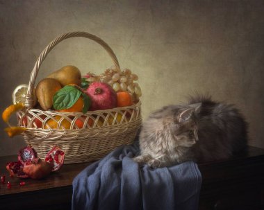 Hayat bir sepet dolusu komik kediyle