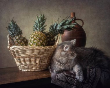 Hayat bir sepet ananas ve komik kediyle dolu