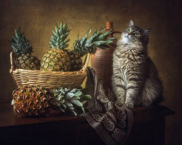 Nature Morte Avec Panier Ananas Chaton Drôle — Photo