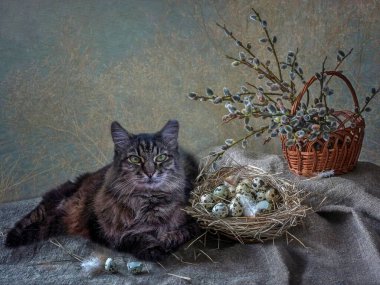 Söğüt dalları ve kedilerle dolu sakin bir hayat