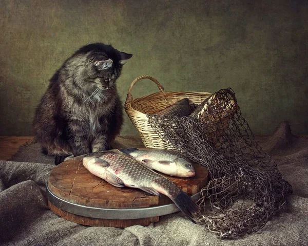 Nature Morte Avec Poisson Chat — Photo