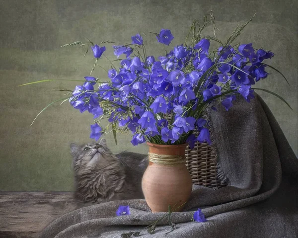 Натюрморт Букетом Блубелла Очаровательной Кошечкой — стоковое фото
