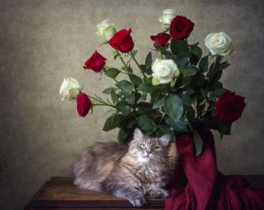Muhteşem gül buketi ve meraklı kedicik ile hayat
