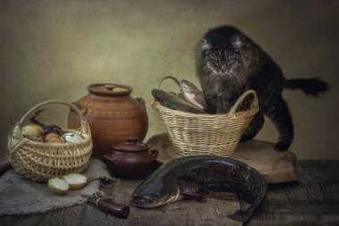 Kedi balığı ve meraklı kediyle hayat