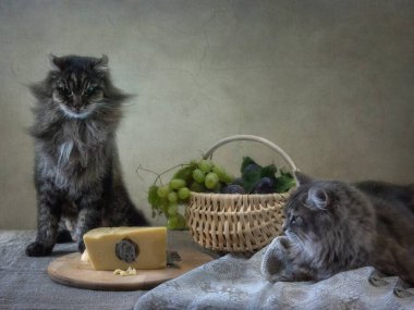 Kedi fareyle oynuyor