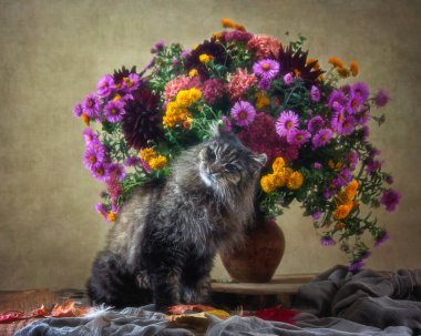 Sonbahar buketinin altındaki kedi portresi