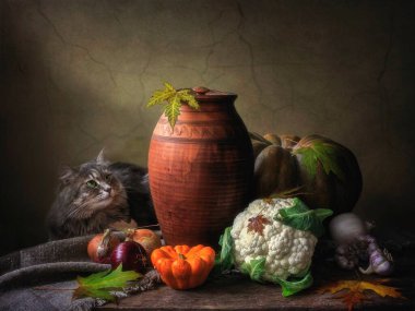 Sebzelerle ve gri kediyle hayat