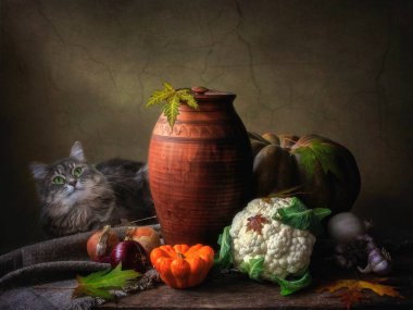 Sebzelerle ve gri kediyle hayat