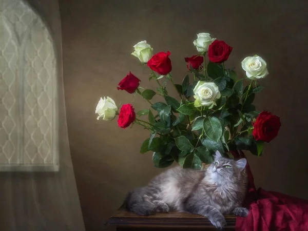 Νεκρή Ζωή Υπέροχο Μπουκέτο Τριαντάφυλλα Και Περίεργη Γατούλα — Φωτογραφία Αρχείου