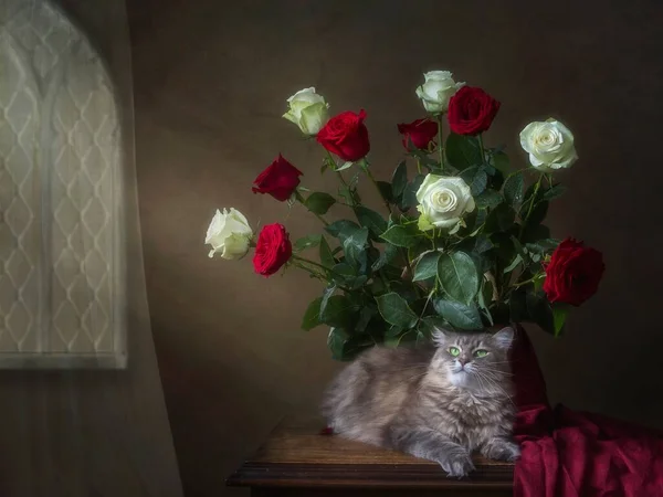Natura Morta Con Splendido Bouquet Rose Gattino Curioso — Foto Stock