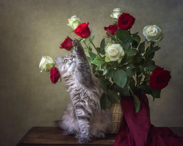 Natureza Morta Com Esplêndido Buquê Rosas Gatinho Curioso — Fotografia de Stock