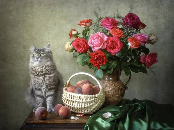 Gattino Grigio Cesto Con Bouquet Frutta Rose — Foto Stock
