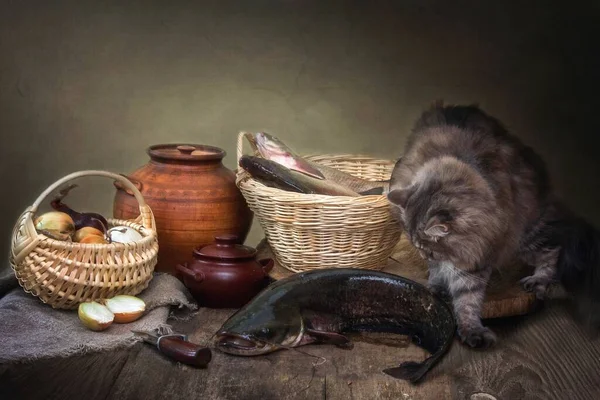 Still life with cat fish and curious kitten