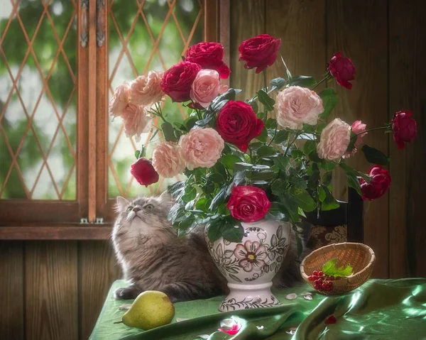 Nature Morte Avec Splendide Bouquet Roses Curieux Chaton — Photo