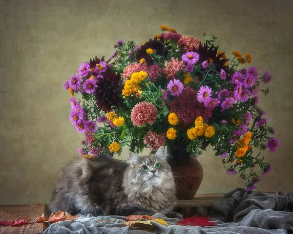 Ritratto Adorabile Gattino Grigio Sotto Bouquet Autunnale — Foto Stock