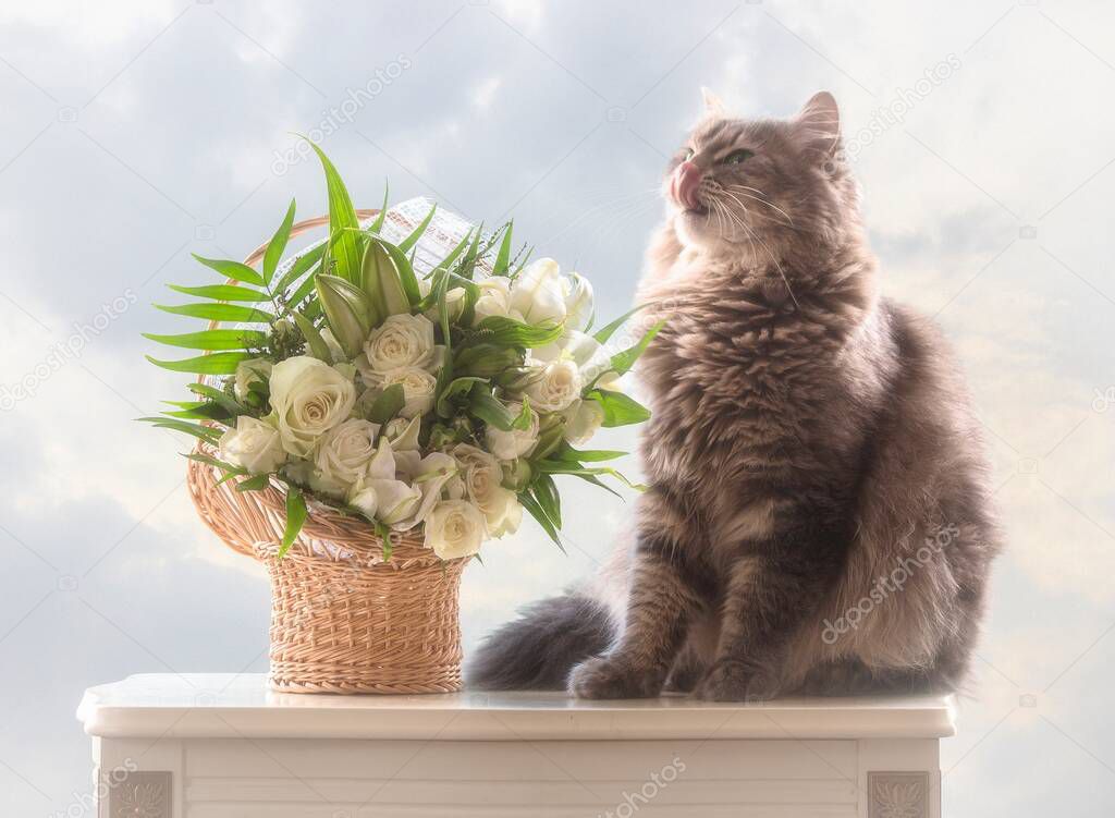 Still life with bouquet of flowers and adorable gray kitty