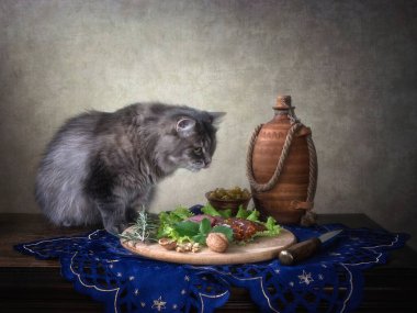 Masadaki aç kedi yavrusu.