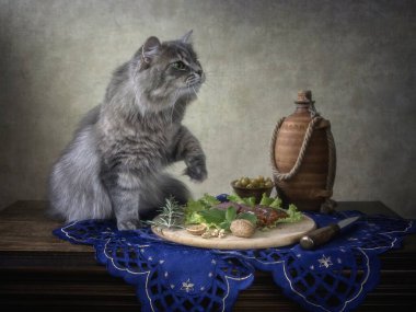 Masadaki aç kedi yavrusu.
