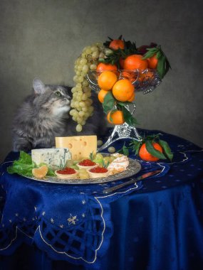 Masadaki aç kedi yavrusu.
