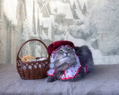 Kostümlü sevimli gri kedicik Kırmızı Başlıklı Şapka