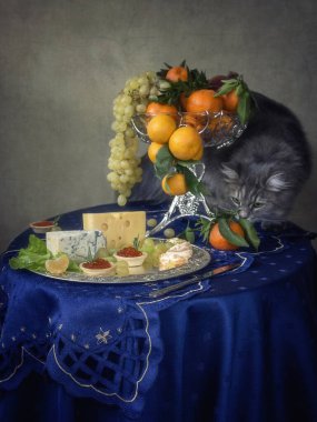 Masadaki aç kedi yavrusu.