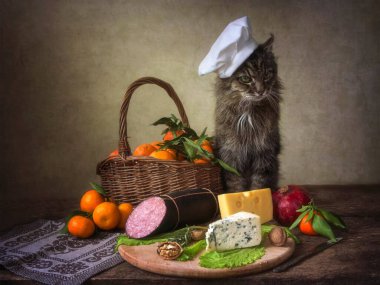 Masadaki aşçı şapkalı aç kedi.