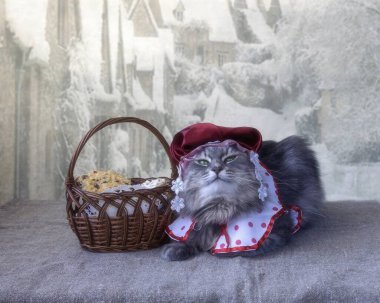 Kostümlü sevimli gri kedicik Kırmızı Başlıklı Şapka