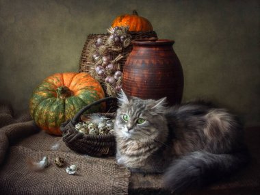 Kırsal yaşam bıldırcın yumurtalarıyla ve gri kedicilik oynayarak