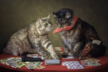 Genç gri kedi ve yaşlı kedi poker oynuyorlar.