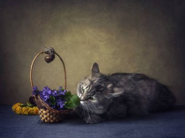 Bir sepet keman çiçeği ve çelenkli meraklı kediyle hayat