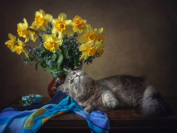 Nature Morte Avec Bouquet Jonquilles Jaunes Jouant Adorable Chaton — Photo