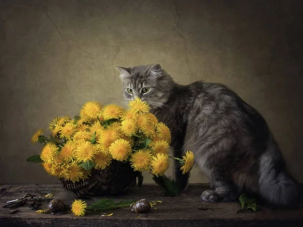 Nature Morte Avec Panier Pissenlits Jeu Chaton Gris — Photo