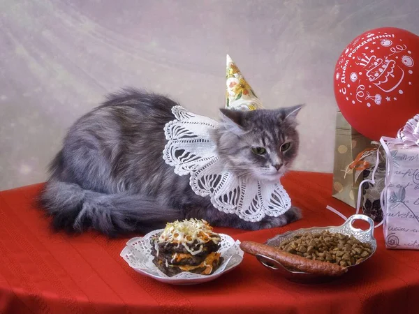 Fødselsdag Yndig Grå Kitty - Stock-foto