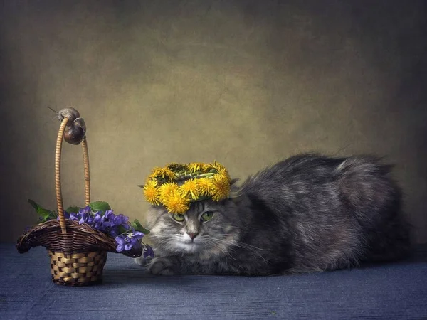 Still life with basket of viola flowers and curious kitty in wreath — Stock Image Still Life Basket Viola Flowers Curious Kitty Wreath Royalty Free Stock Images
