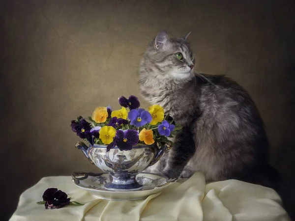 Still life with pansies flowers and charming kitty — Stock Image Still Life Pansies Flowers Charming Kitty Stock Image