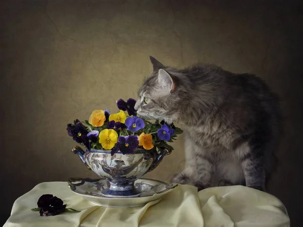 Still life with pansies flowers and playing funny kitty — Stock Image Still Life Pansies Flowers Playing Funny Kitty Stock Picture