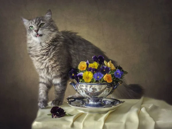Still life with pansies flowers and playing funny kitty — Stock Image Still Life Pansies Flowers Playing Funny Kitty Stock Image