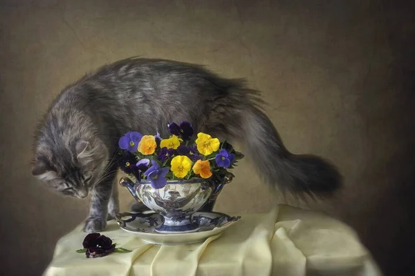 Still life with pansies flowers and playing funny kitty — Stock Image Still Life Pansies Flowers Playing Funny Kitty Royalty Free Stock Photos