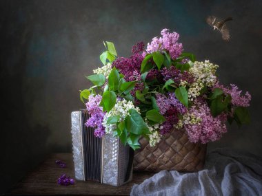 Renkli leylak ve akordeon dolu bir sepetle hayat