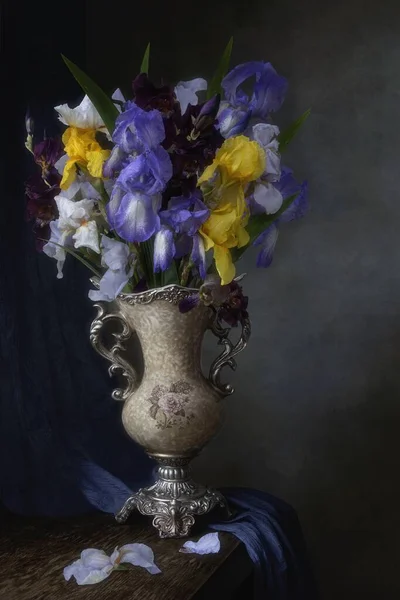 Stilleven Met Boeket Van Veelkleurige Irissen — Stockfoto