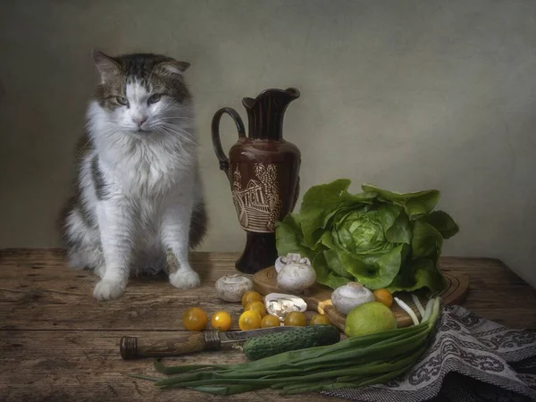 Marul ve meraklı bir kediyle hayat