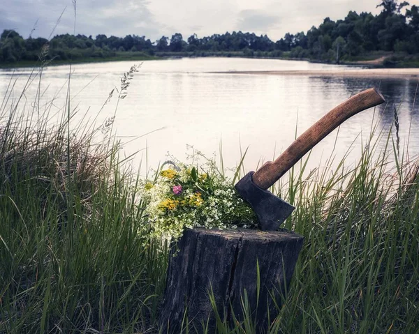 Viejo Muñón Madera Orilla Del Río — Foto de Stock