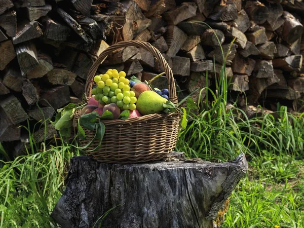 Stilleven Met Oogst Van Vruchten Een Tuin — Stockfoto