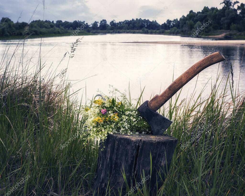  Old wooden stump on the river bank