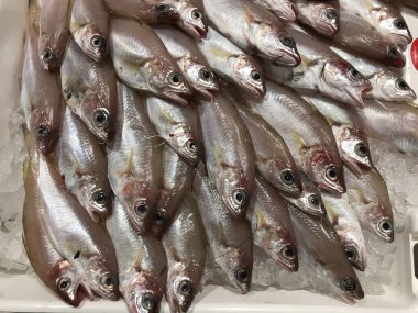 El pescado a la venta en el mercado.