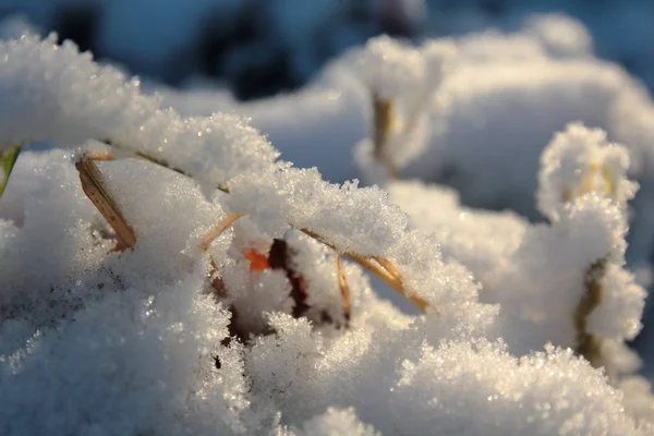 Nature Snow Fresh White Snowflakes Background — Foto de Stock