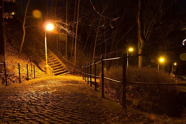 Şehir parkının gece manzarası 