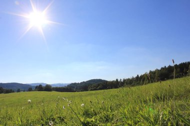 Gündüz vakti yeşil alan 