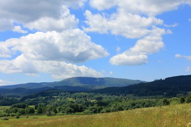 Kırsal kesimde yaz çayırı